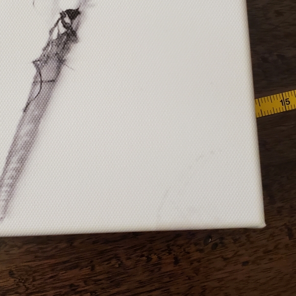 15"x15"x2.5" Canvas Feathers artwork - Picture 5 of 6